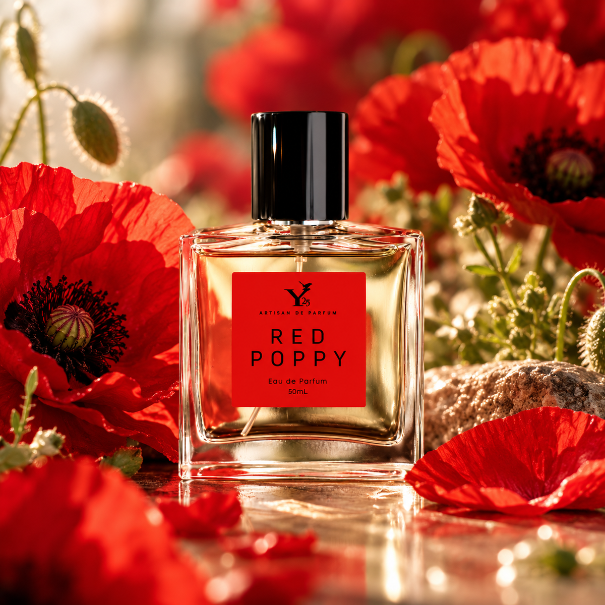 Red Poppy